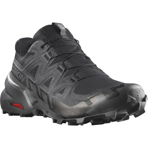 Salomon Speedcross 6 GTX Black/Black/Phantom, EU 44 ⅔ Pánske bežecké topánky
