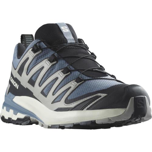 Salomon Xa Pro 3D V9 GTX Flint Stone/Black/Ghost Gray, 46 Pánske topánky