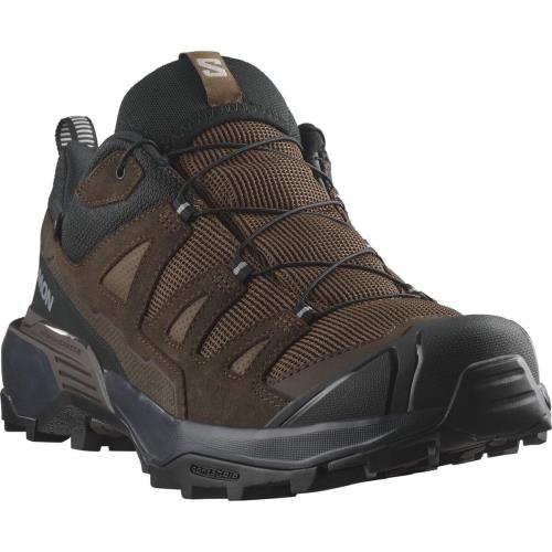 Salomon X ultra 360 LTR GTX Dark Earth/Delicioso/Sharkskin, EU 47 ⅓ Pánske turistické topánky