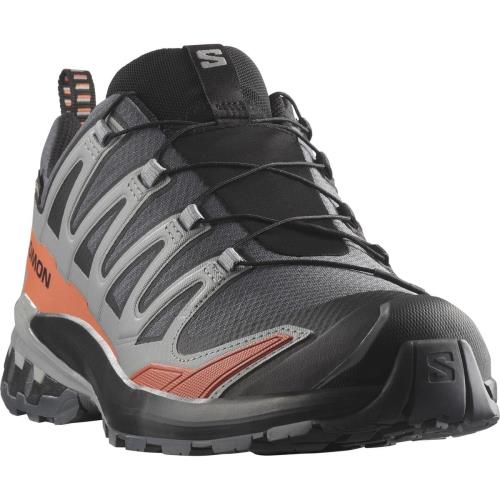 Salomon Xa Pro 3D V9 GTX Turbulence/Black/Burnt Ochre, EU 42 ⅔ Pánske topánky